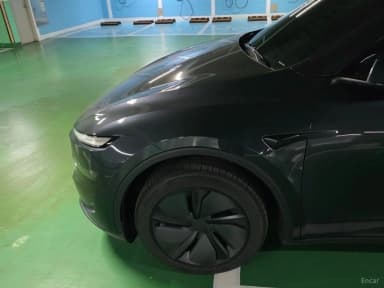 Model Y