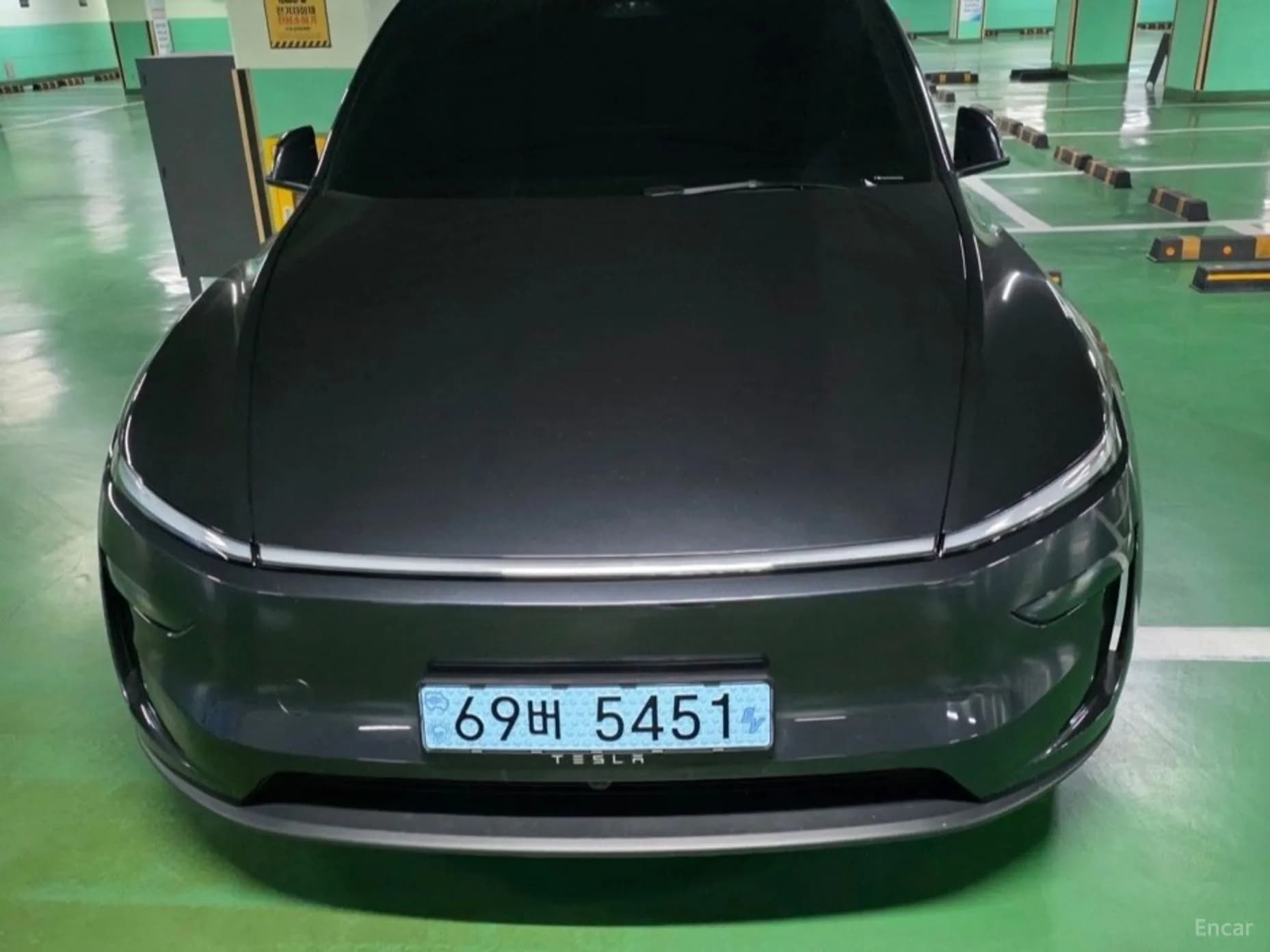 Model Y