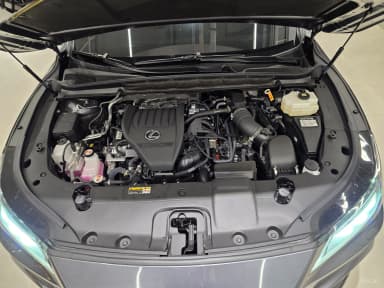 RX500h 5th Generation