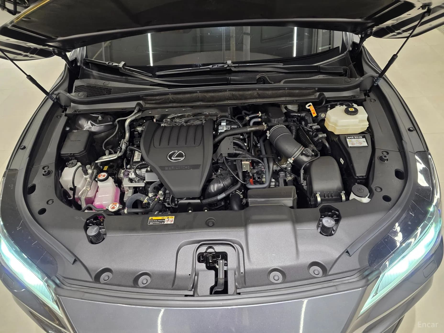 RX500h 5th Generation