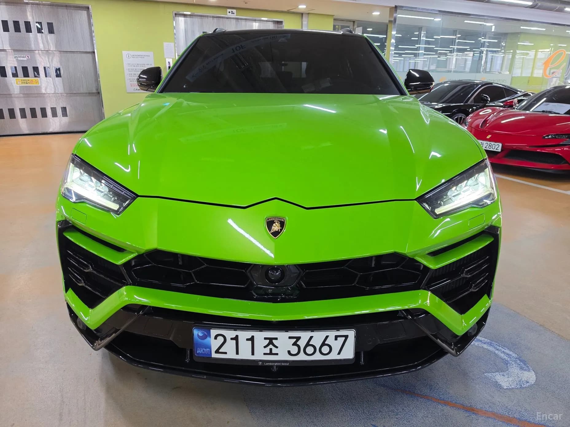 Urus
