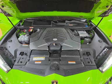Urus