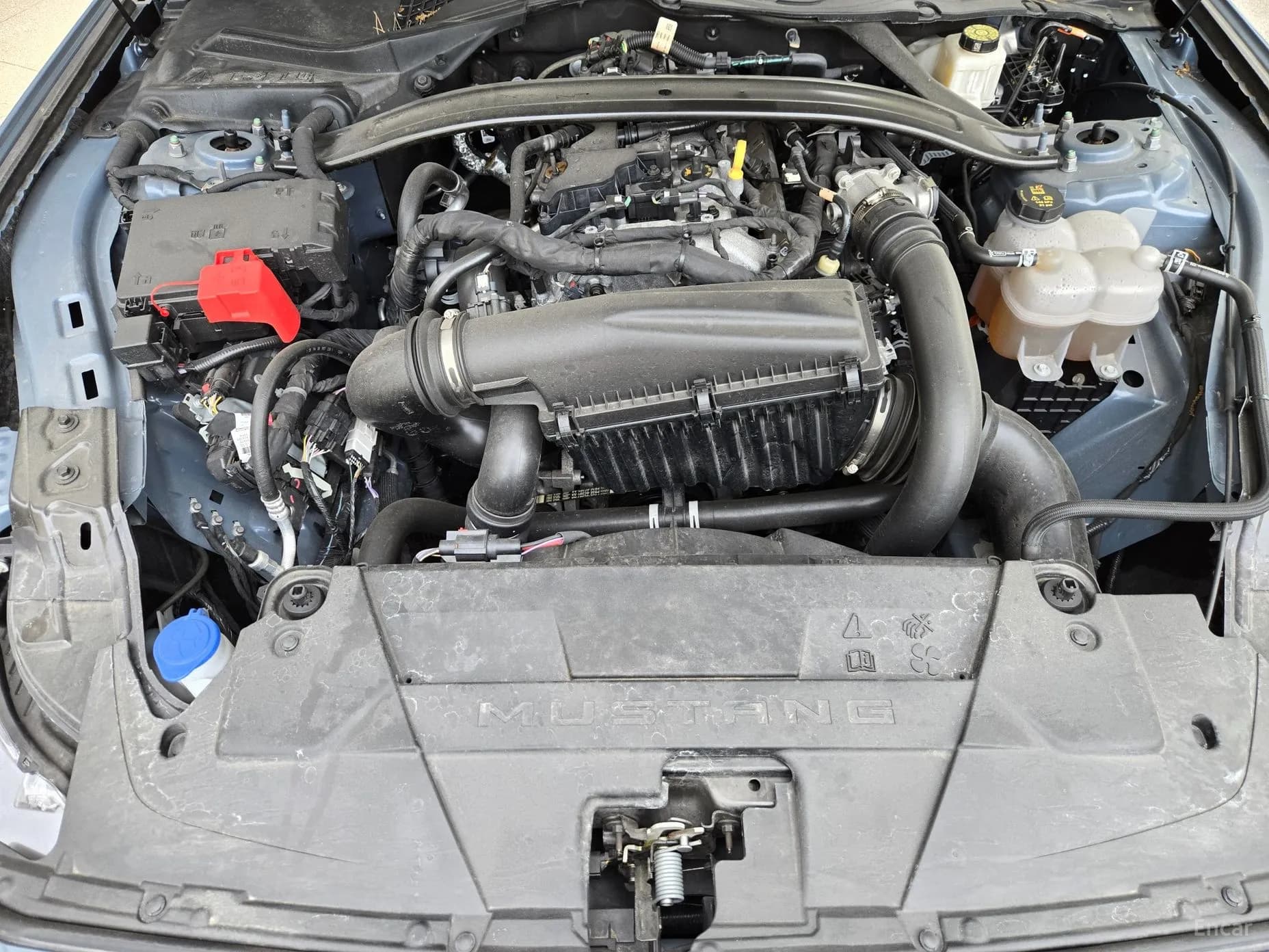 Mustang 7th Generation