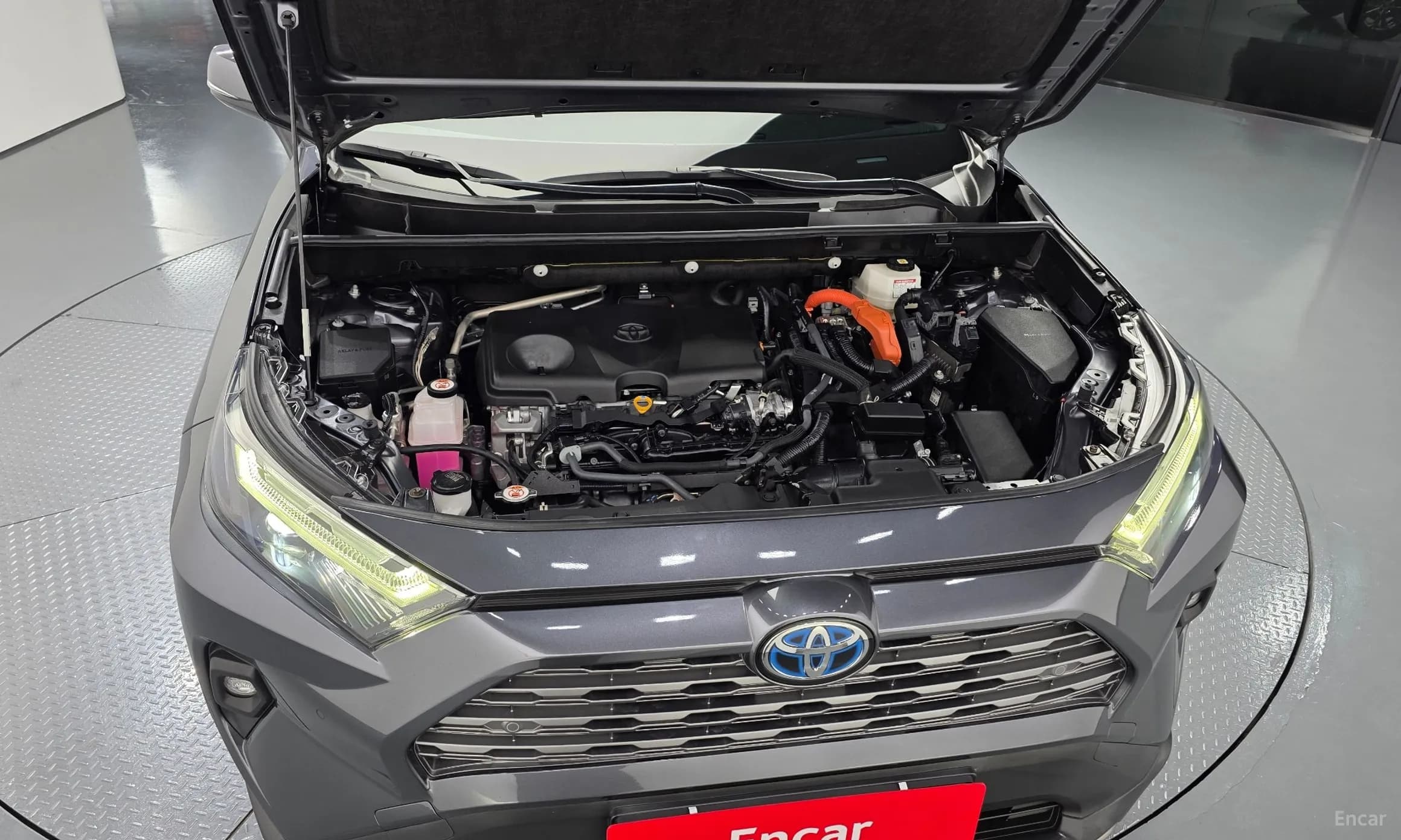 RAV4 5th Generation