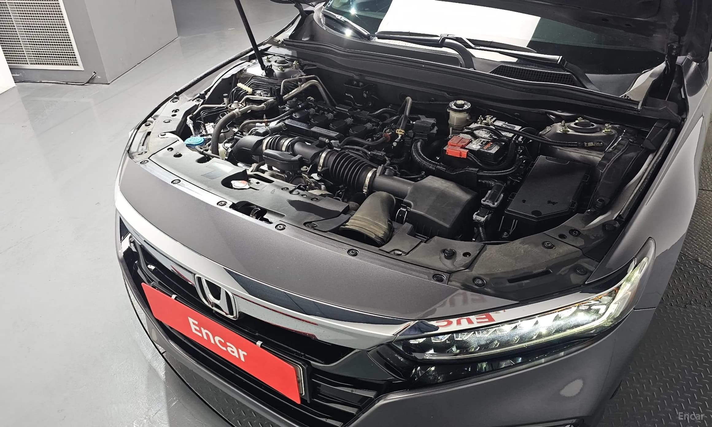 Accord 10th Generation