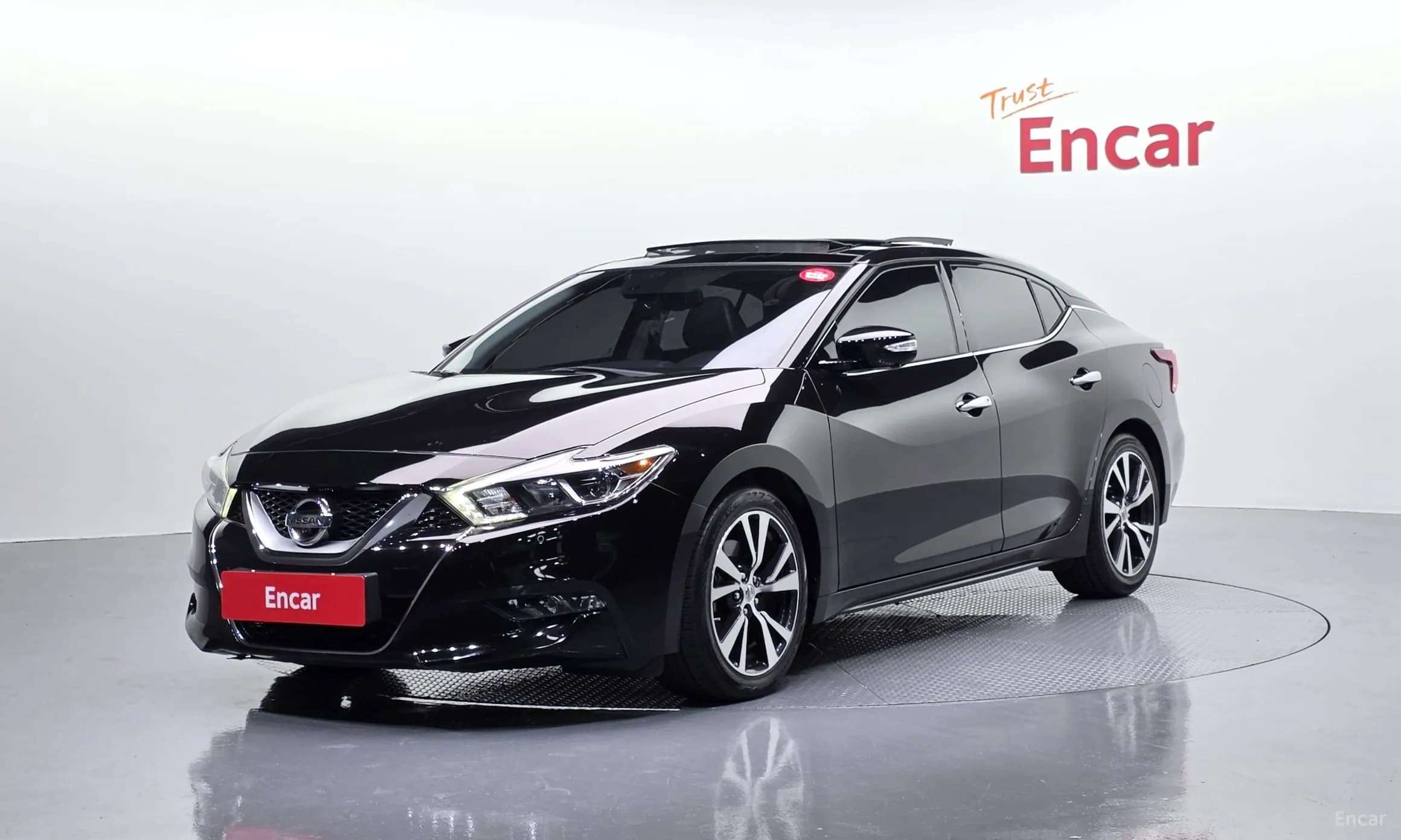 Maxima (A36)