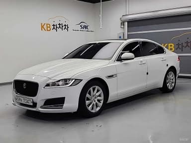 XF (x260)
