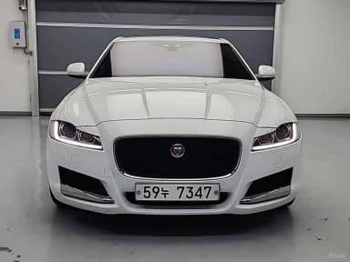 XF (x260)