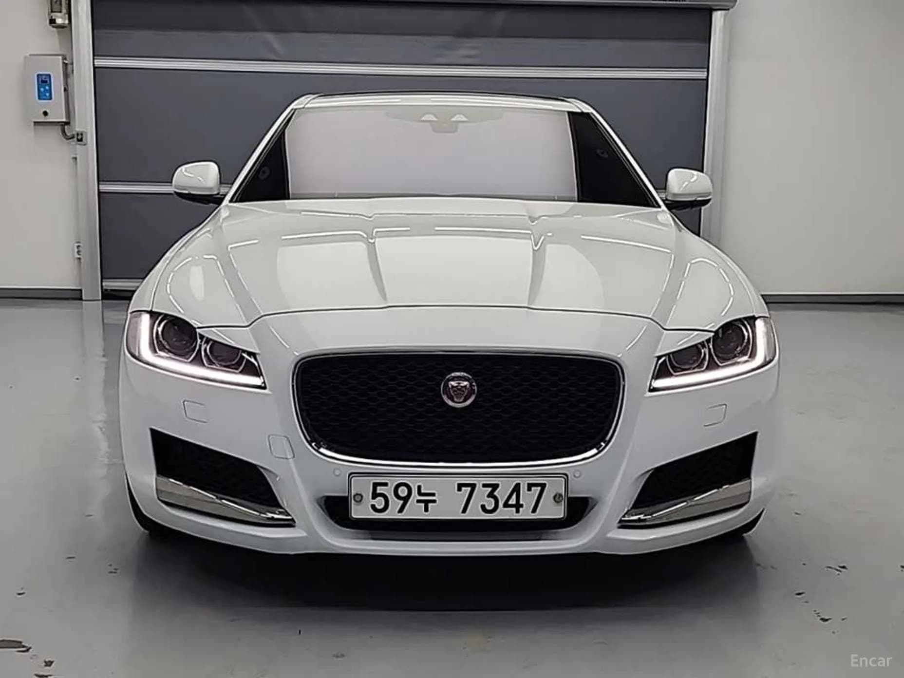 XF (x260)
