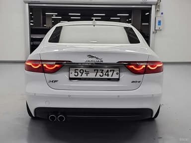 XF (x260)