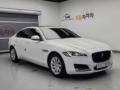 XF (x260)