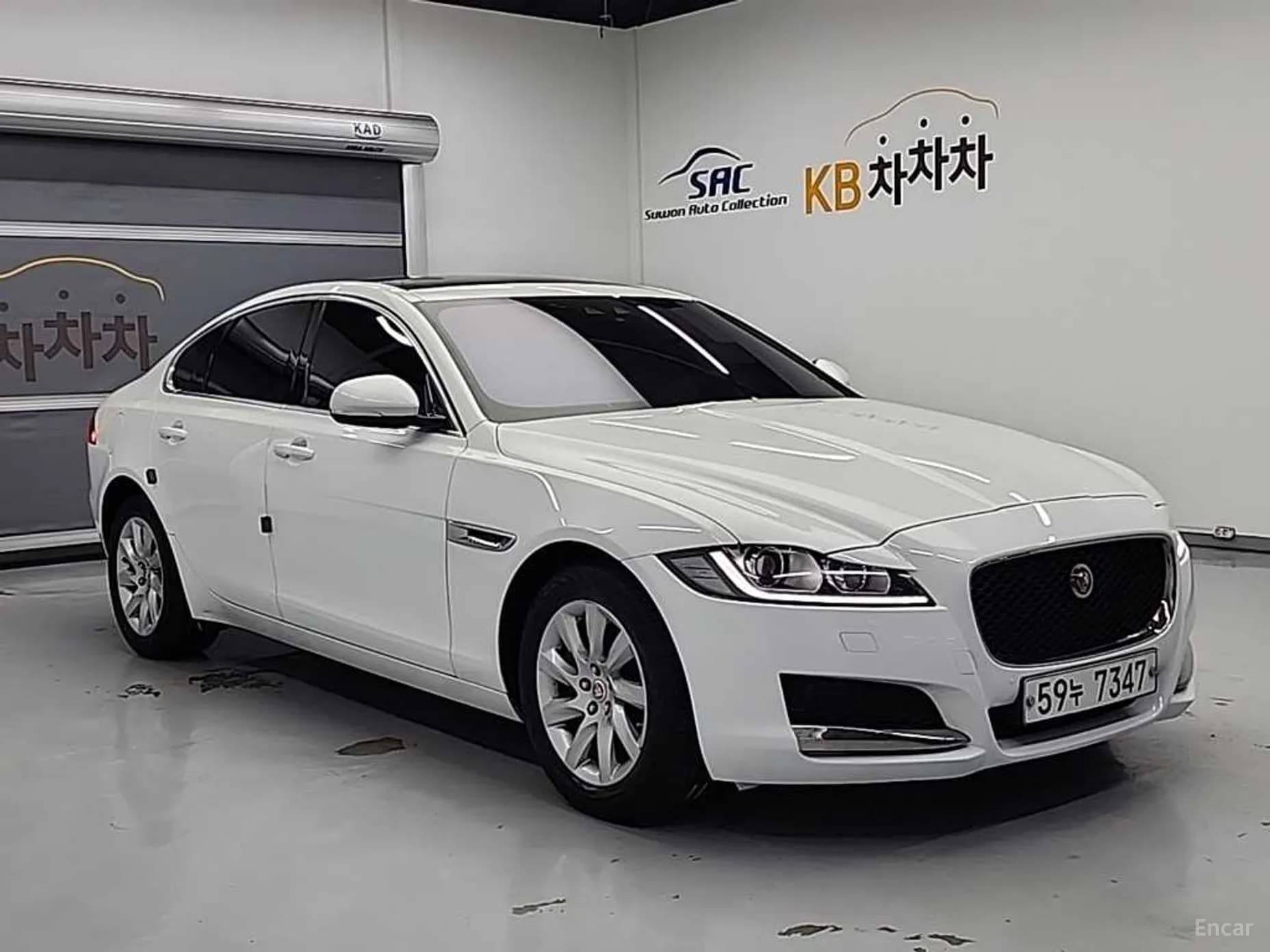XF (x260)