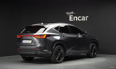 NX350h Gen 2