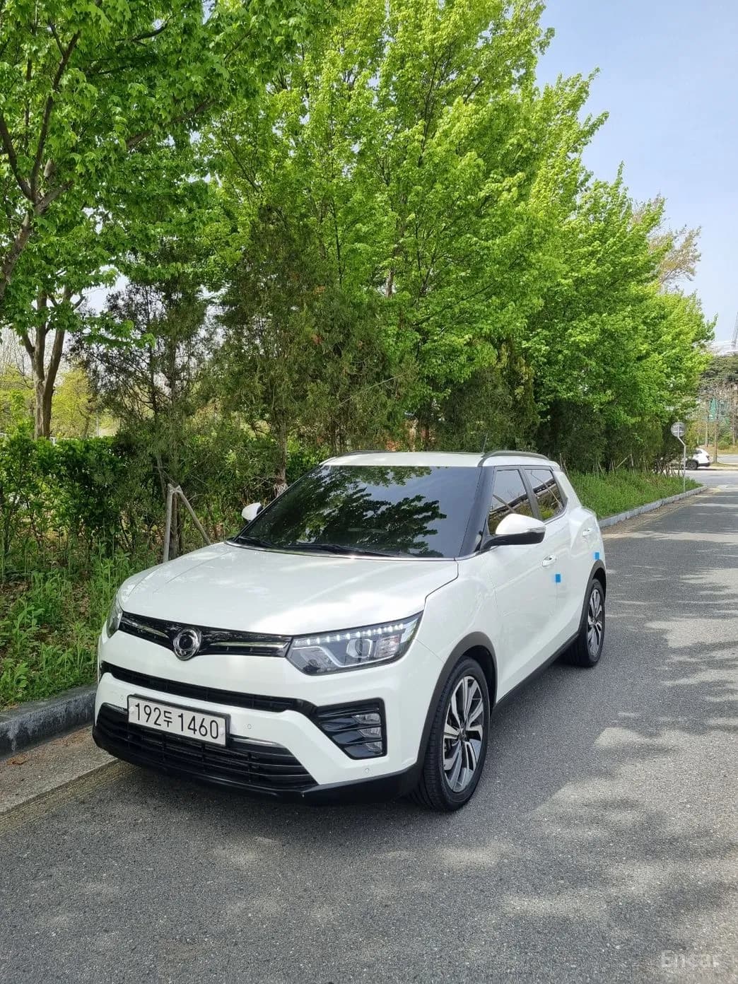 Berry New Tivoli