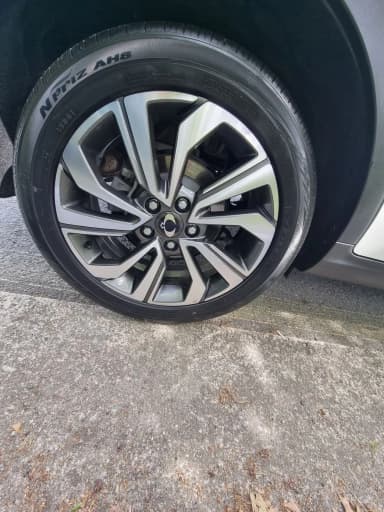 Berry New Tivoli