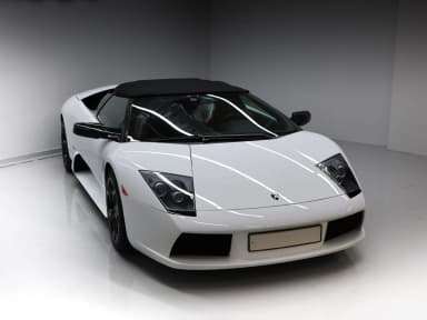 Murcielago