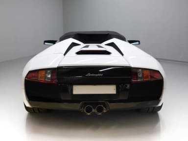 Murcielago