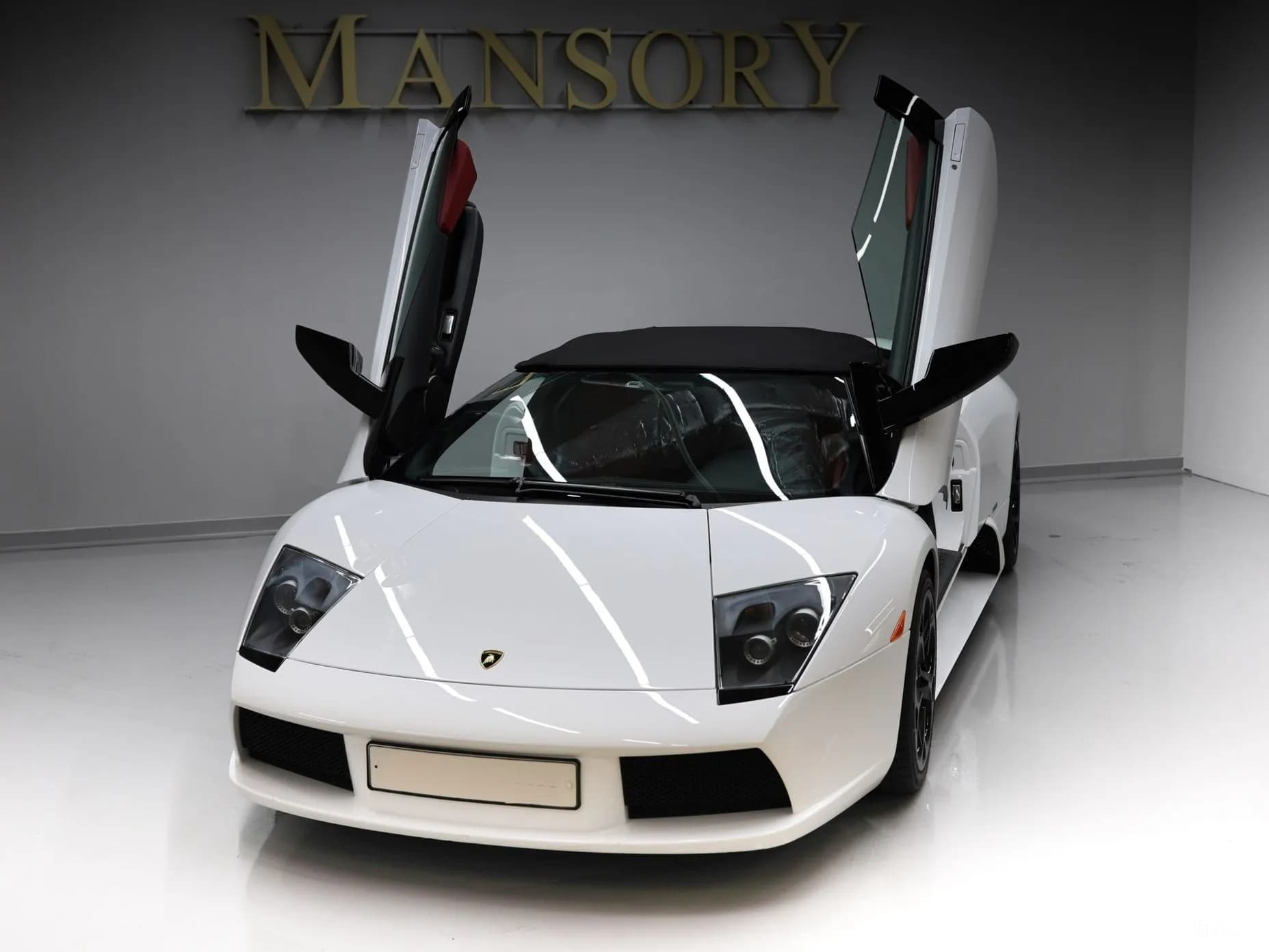 Murcielago