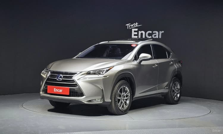 NX300h