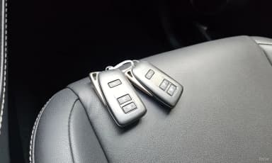 NX300h