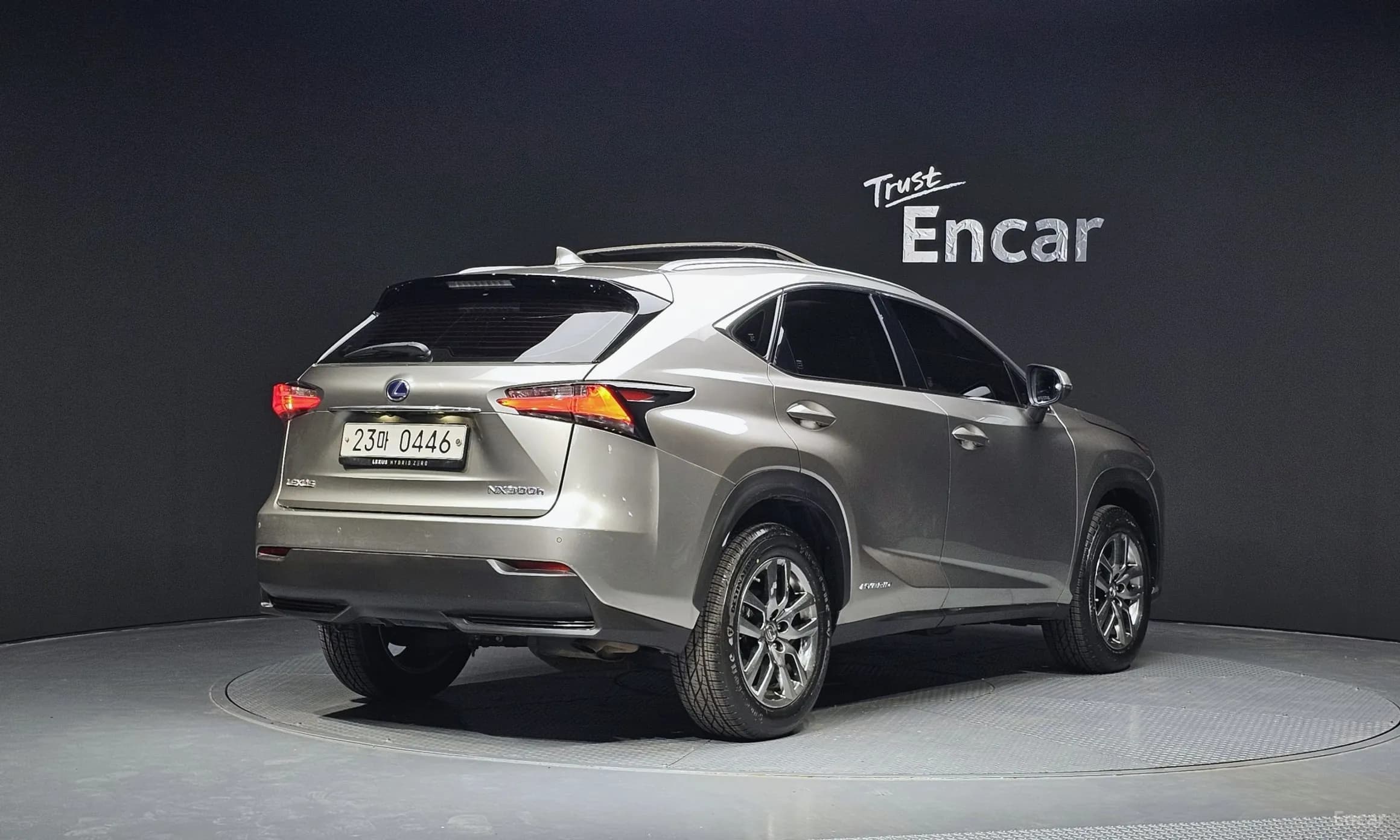 NX300h