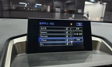 NX300h