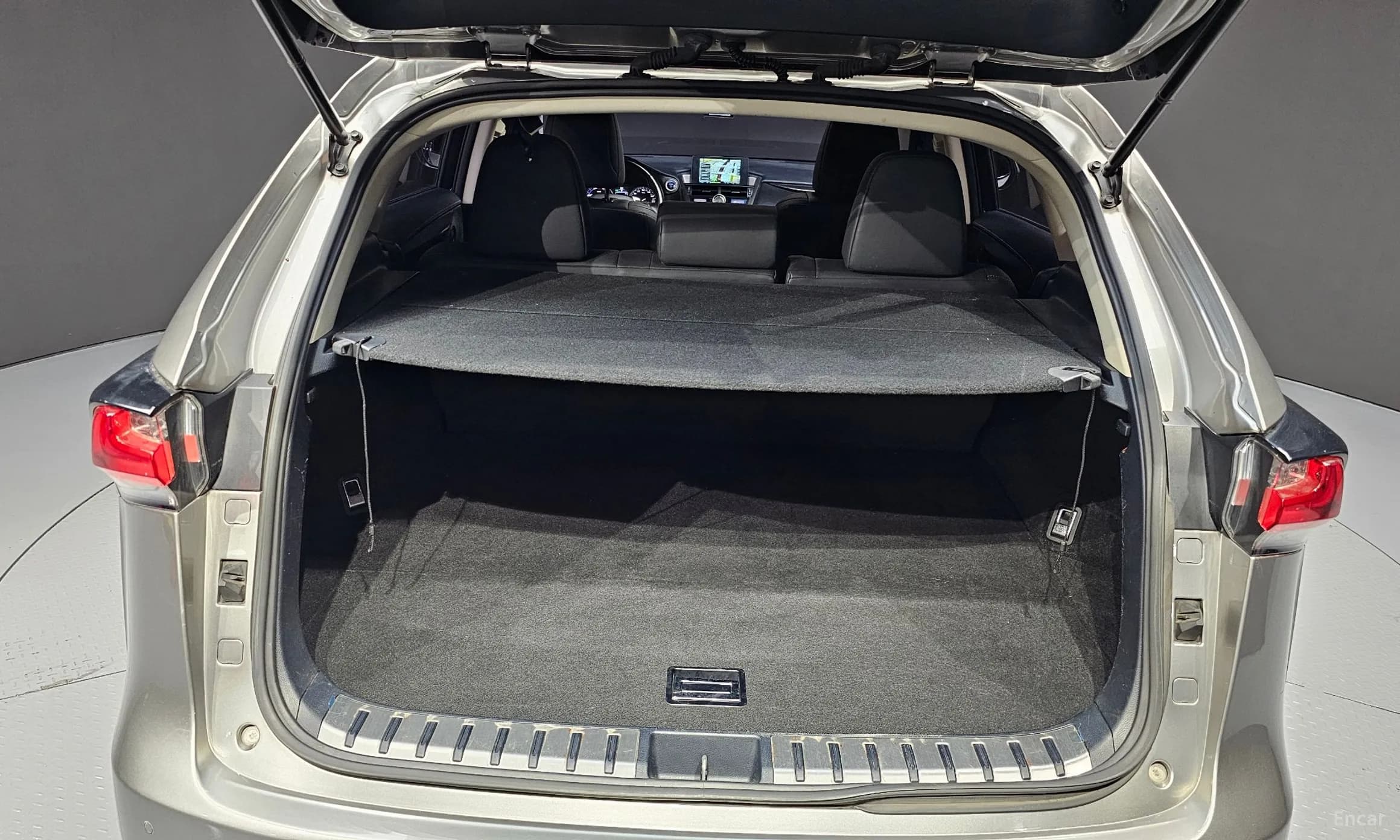 NX300h