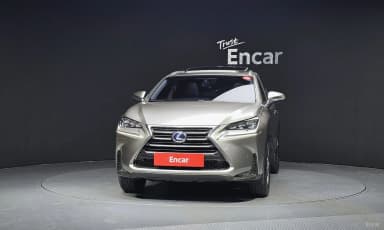 NX300h