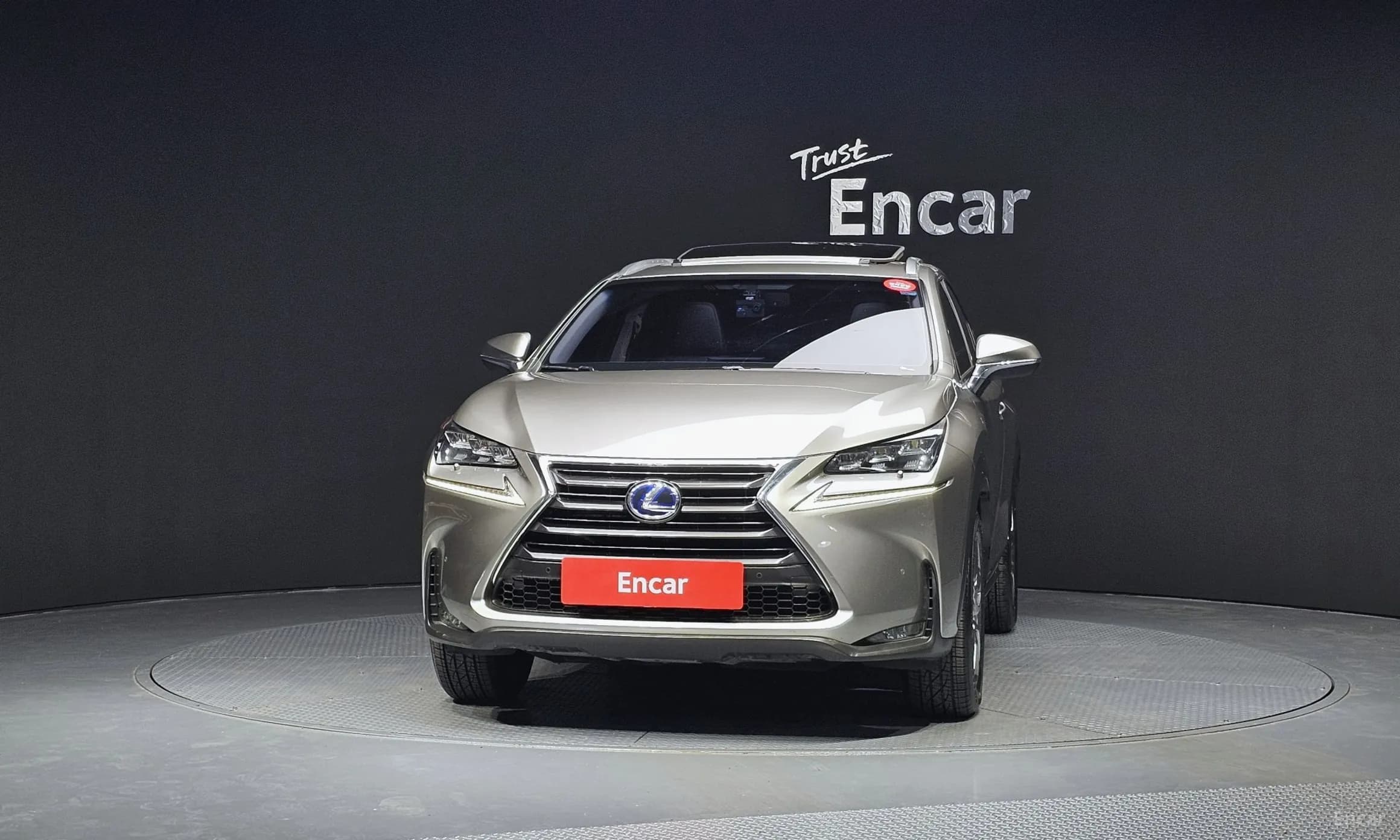 NX300h