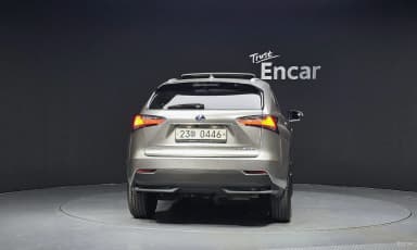 NX300h