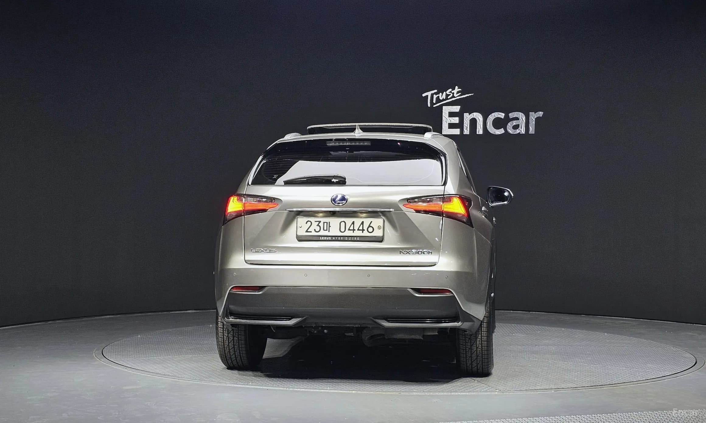 NX300h
