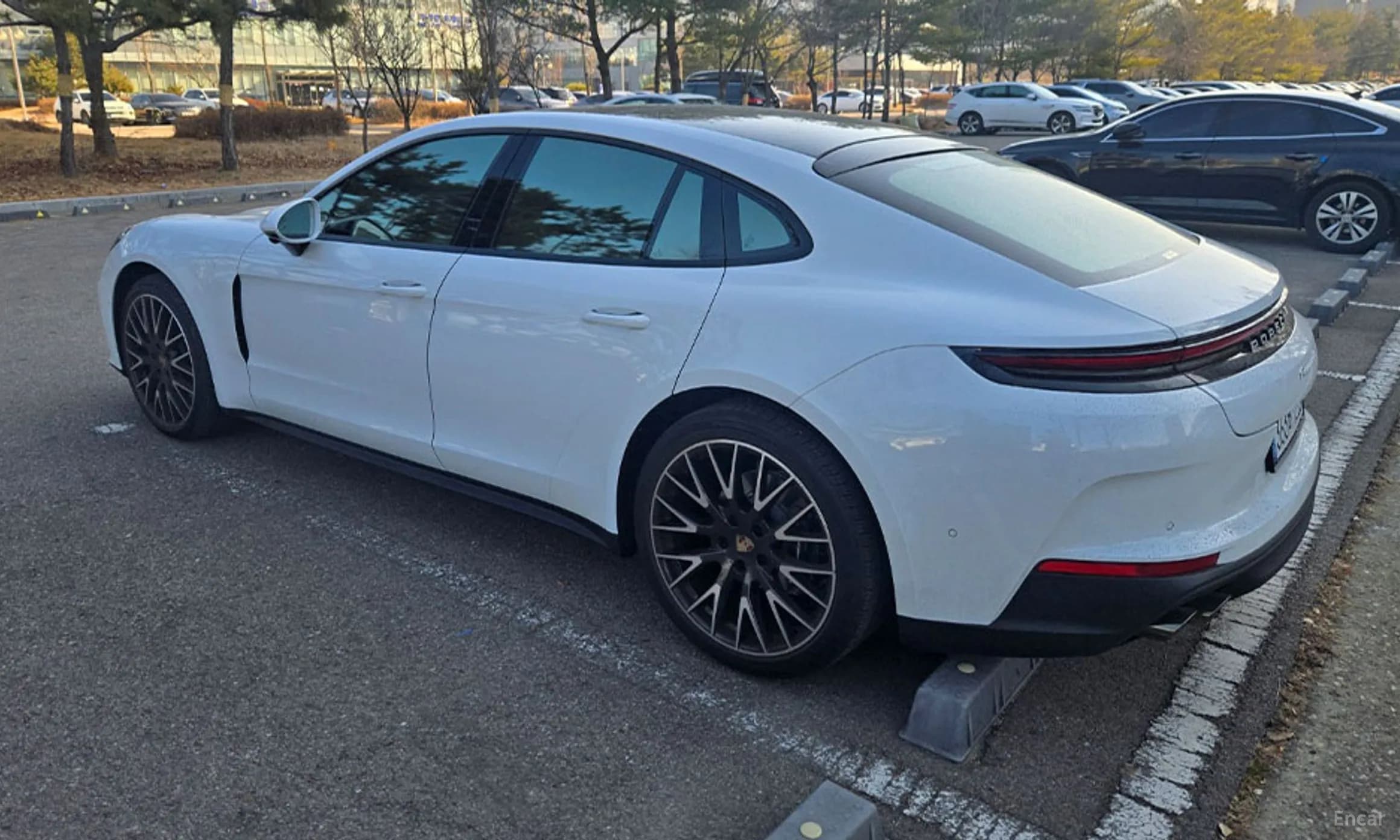 Panamera (976)