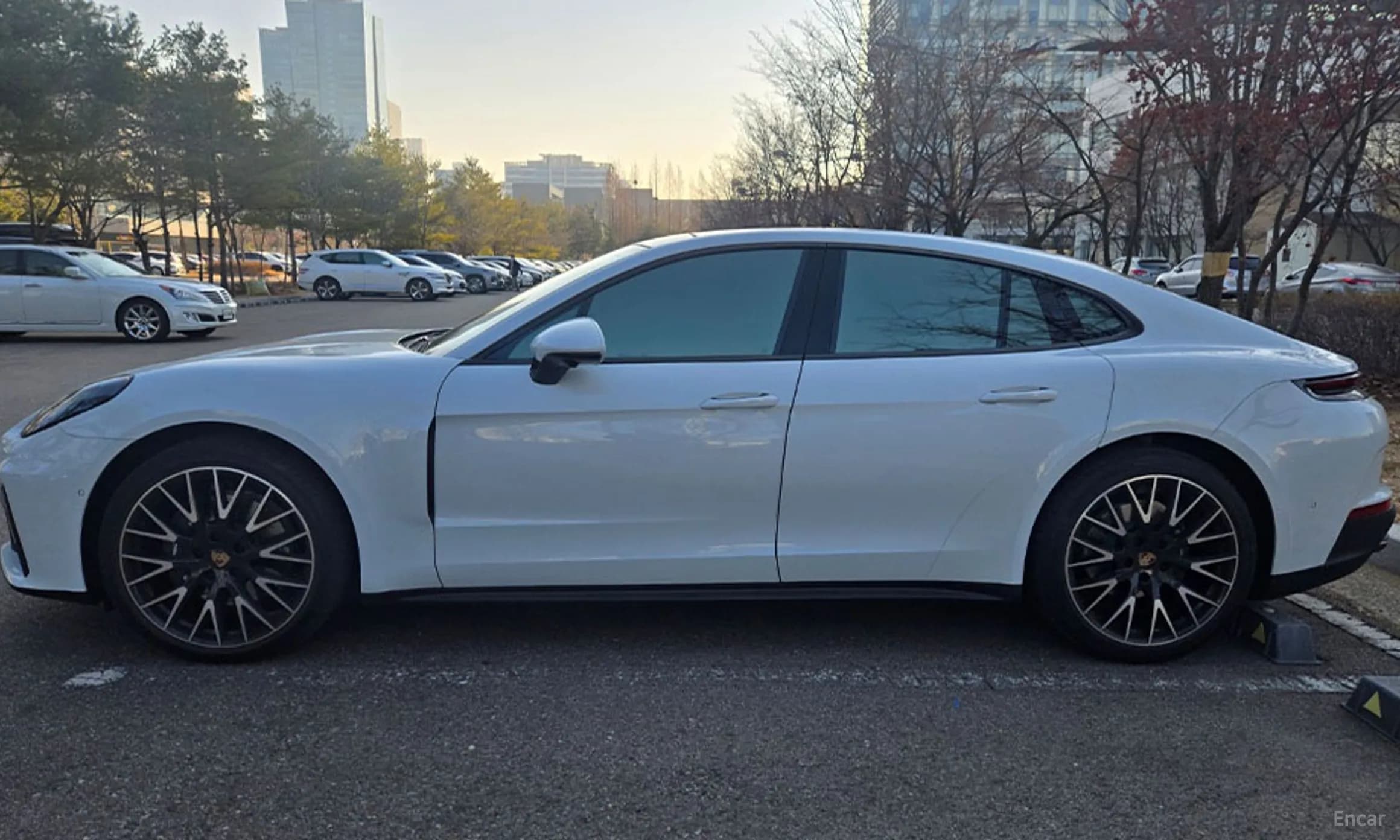 Panamera (976)