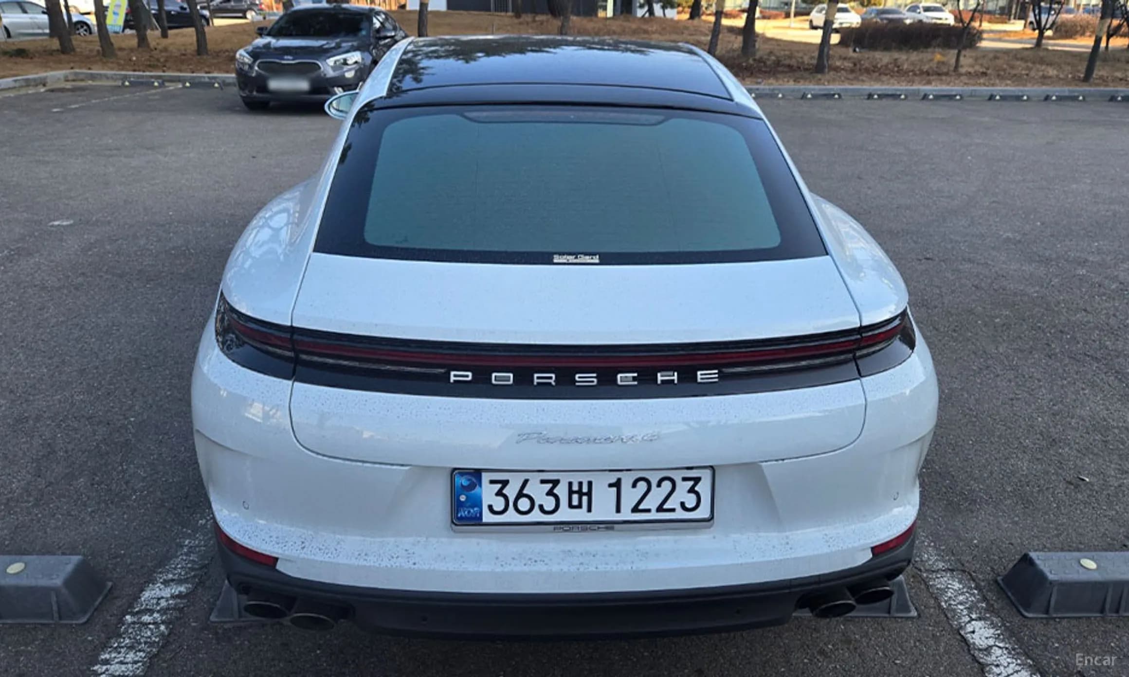 Panamera (976)