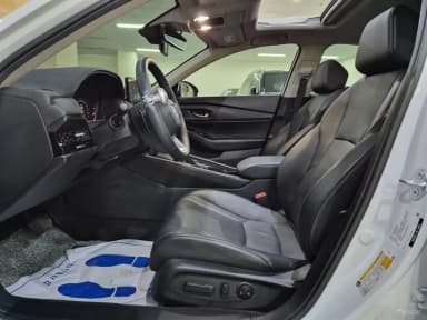 Accord 11th Generation