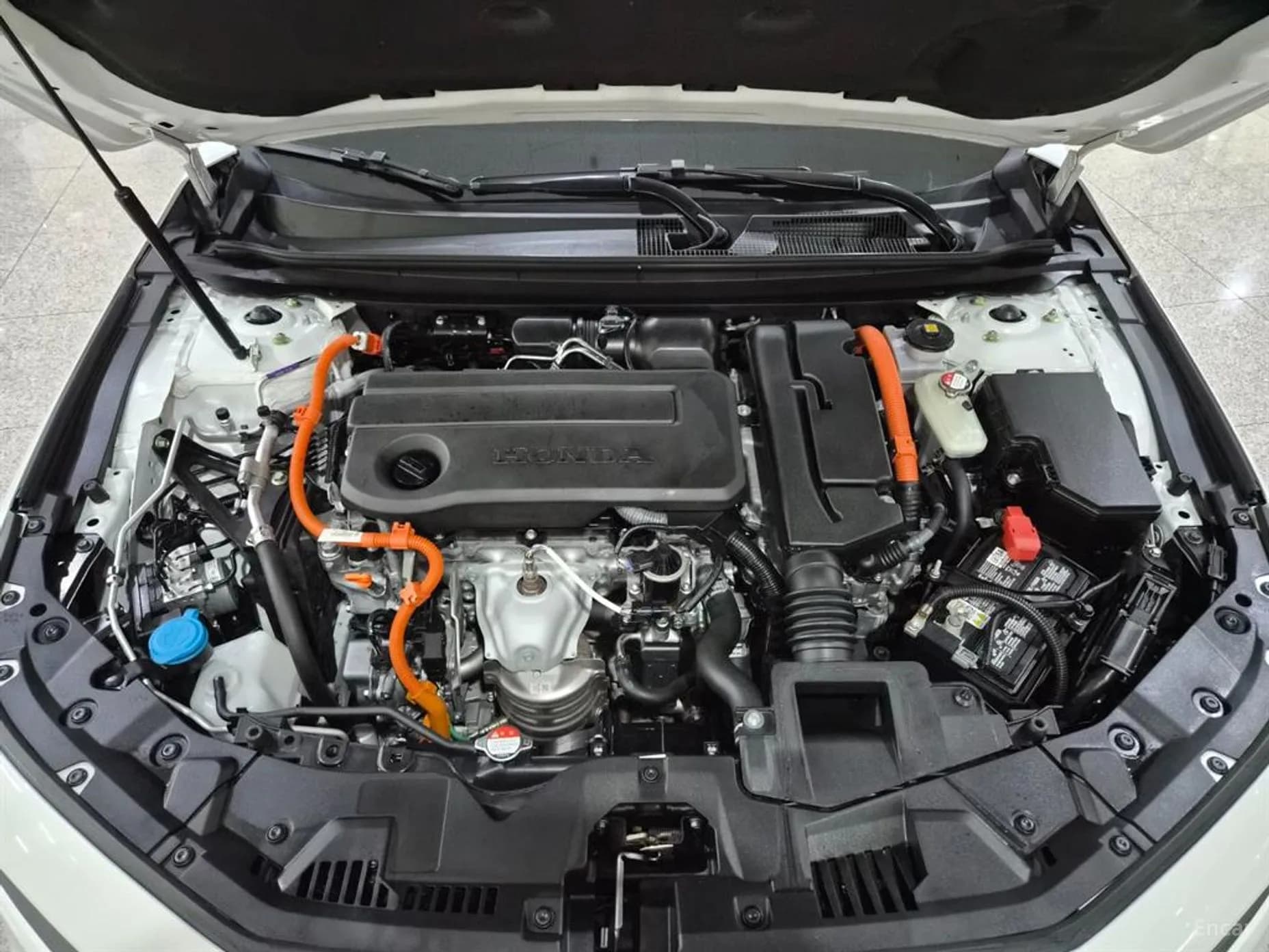 Accord 11th Generation