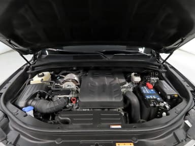 Rexton Sports