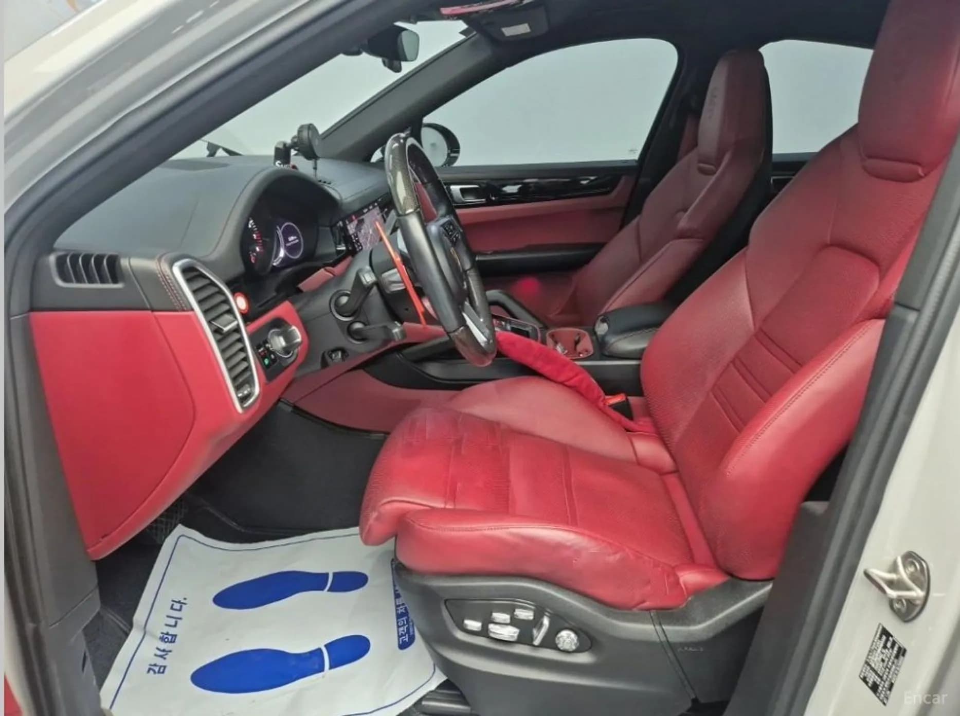 Cayenne (PO536)