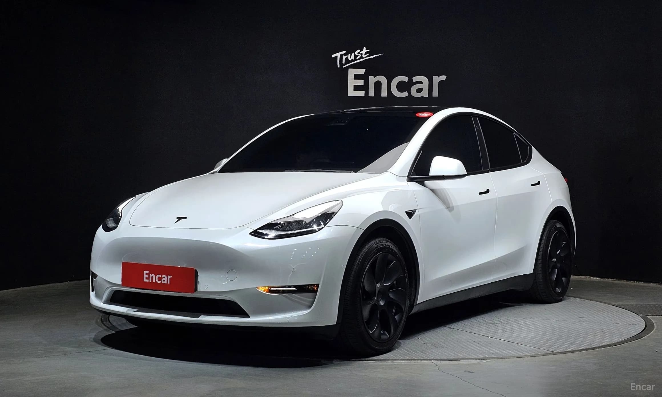 Model Y
