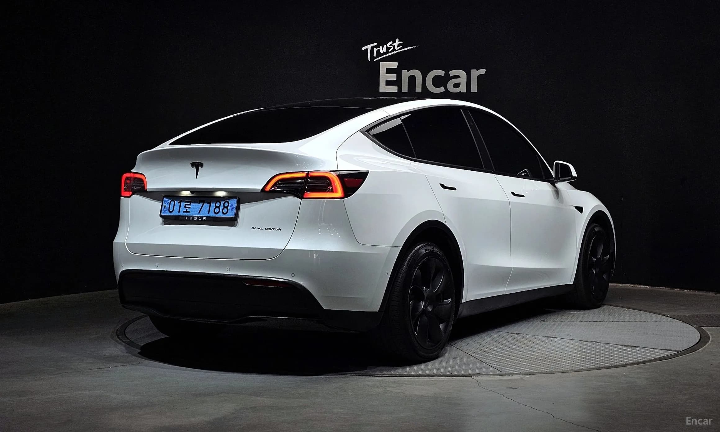 Model Y