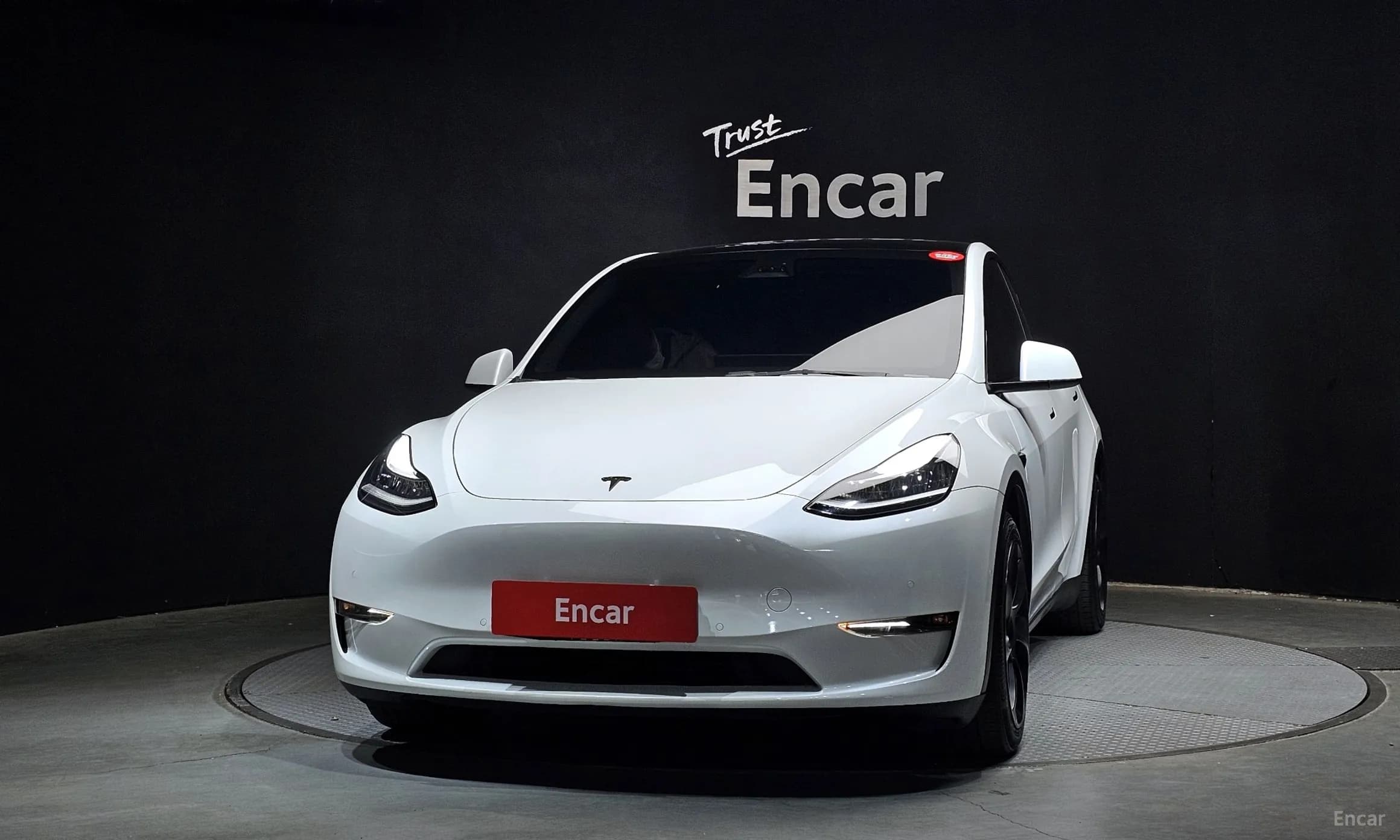 Model Y