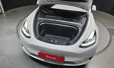 Model Y