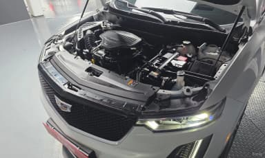 XT6