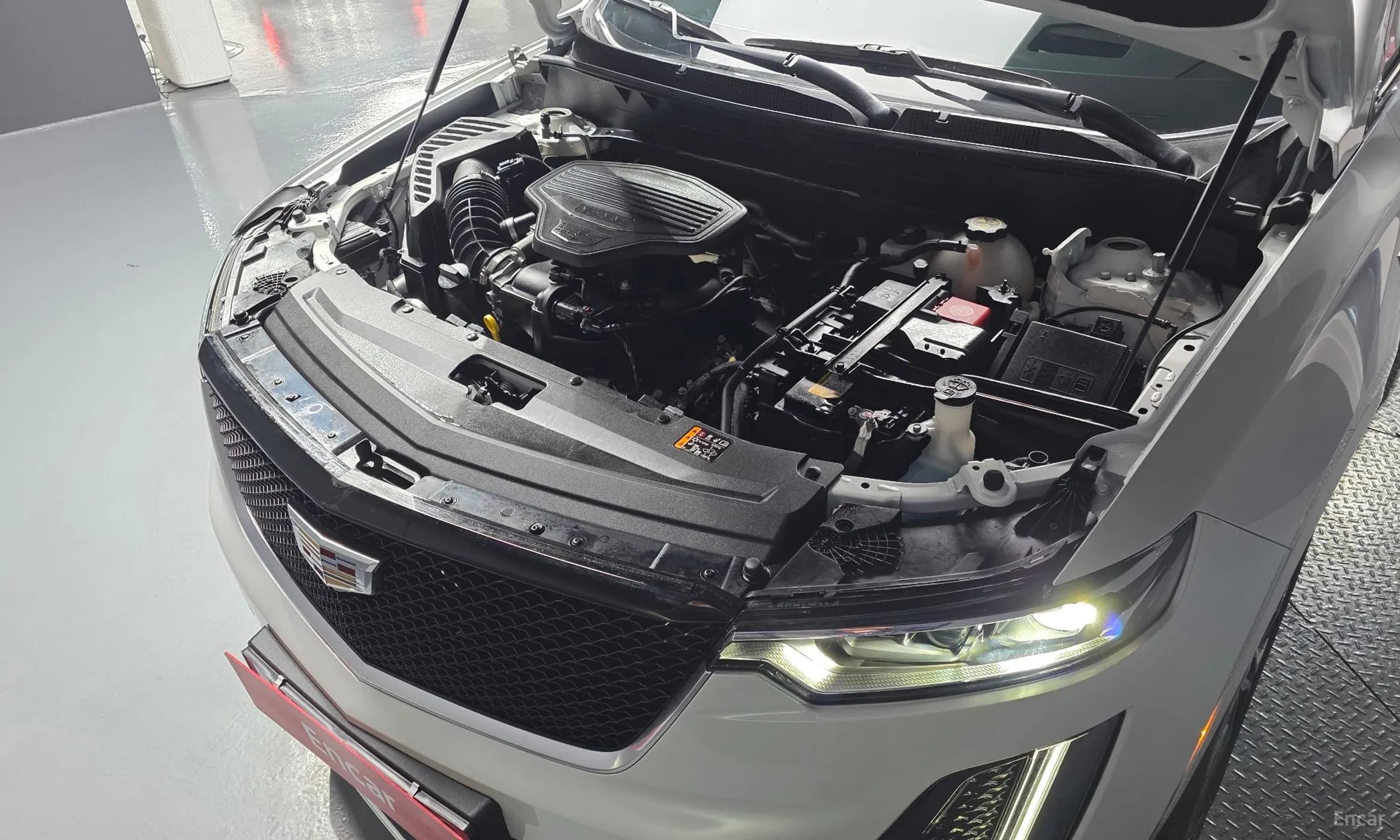 XT6