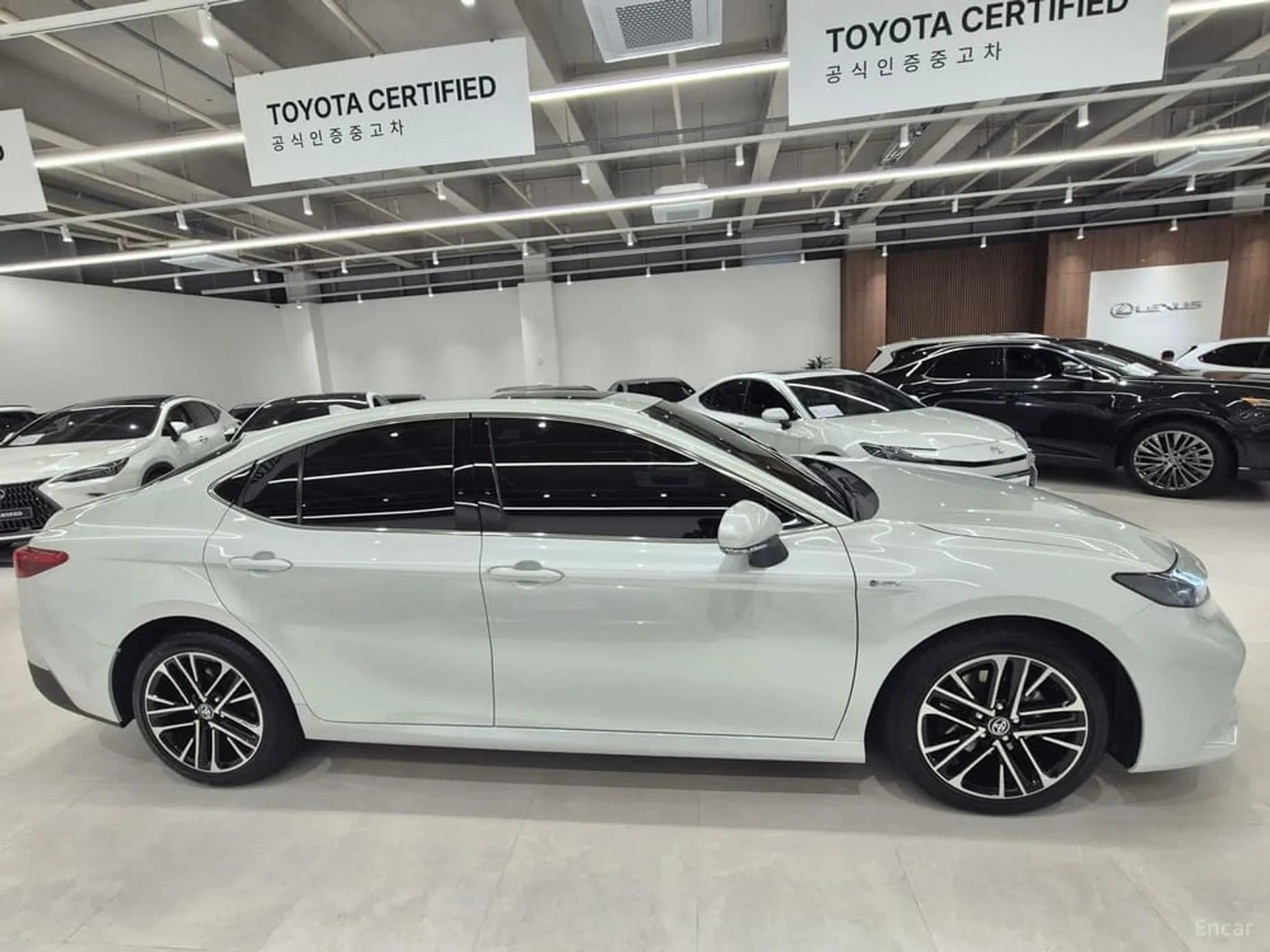 Camry (XV80)