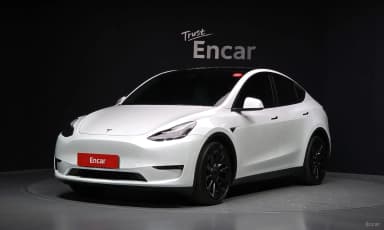 Model Y