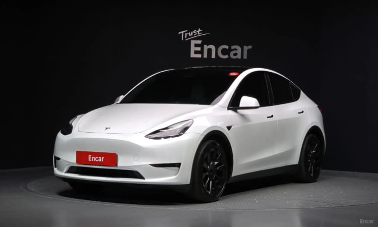Model Y