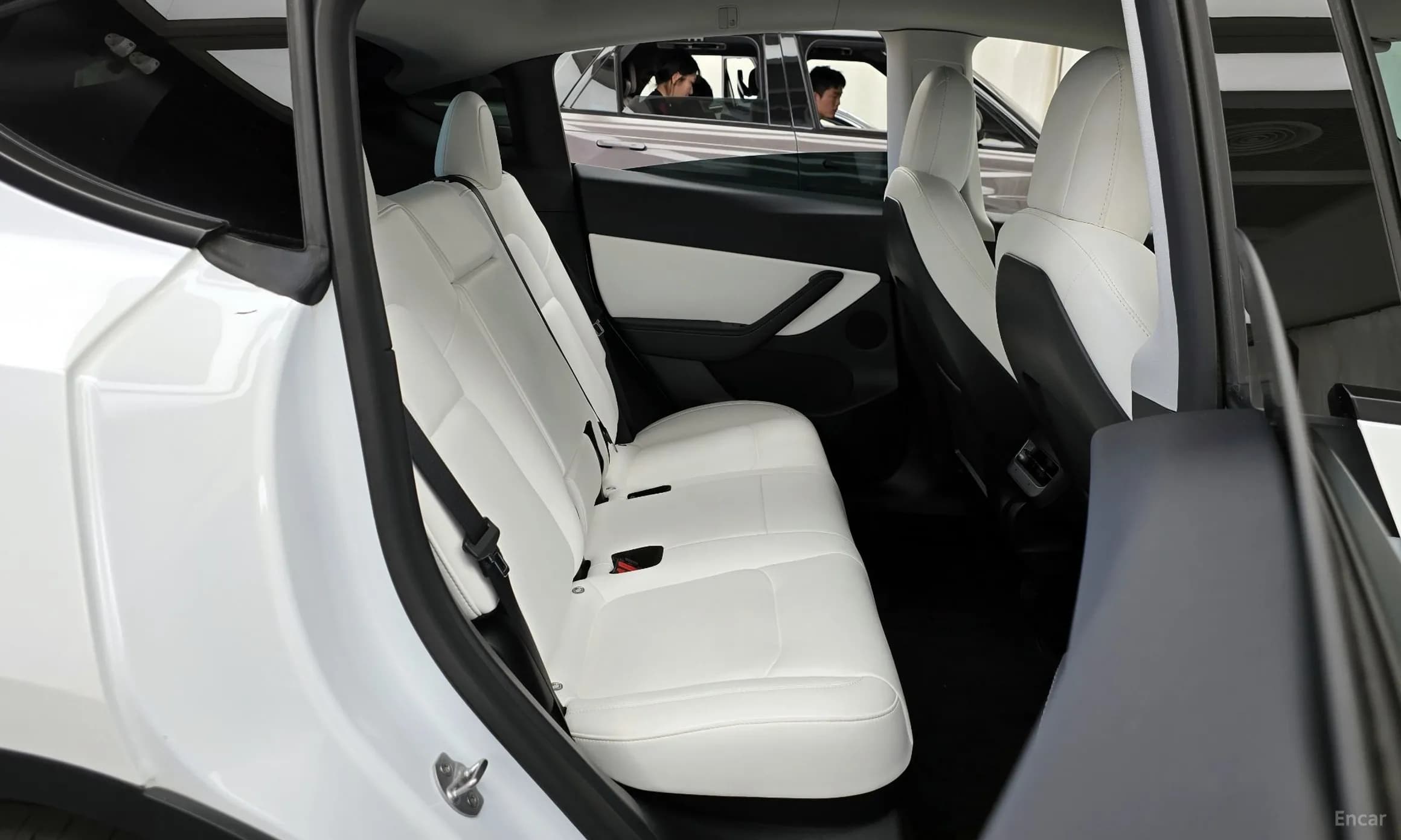 Model Y