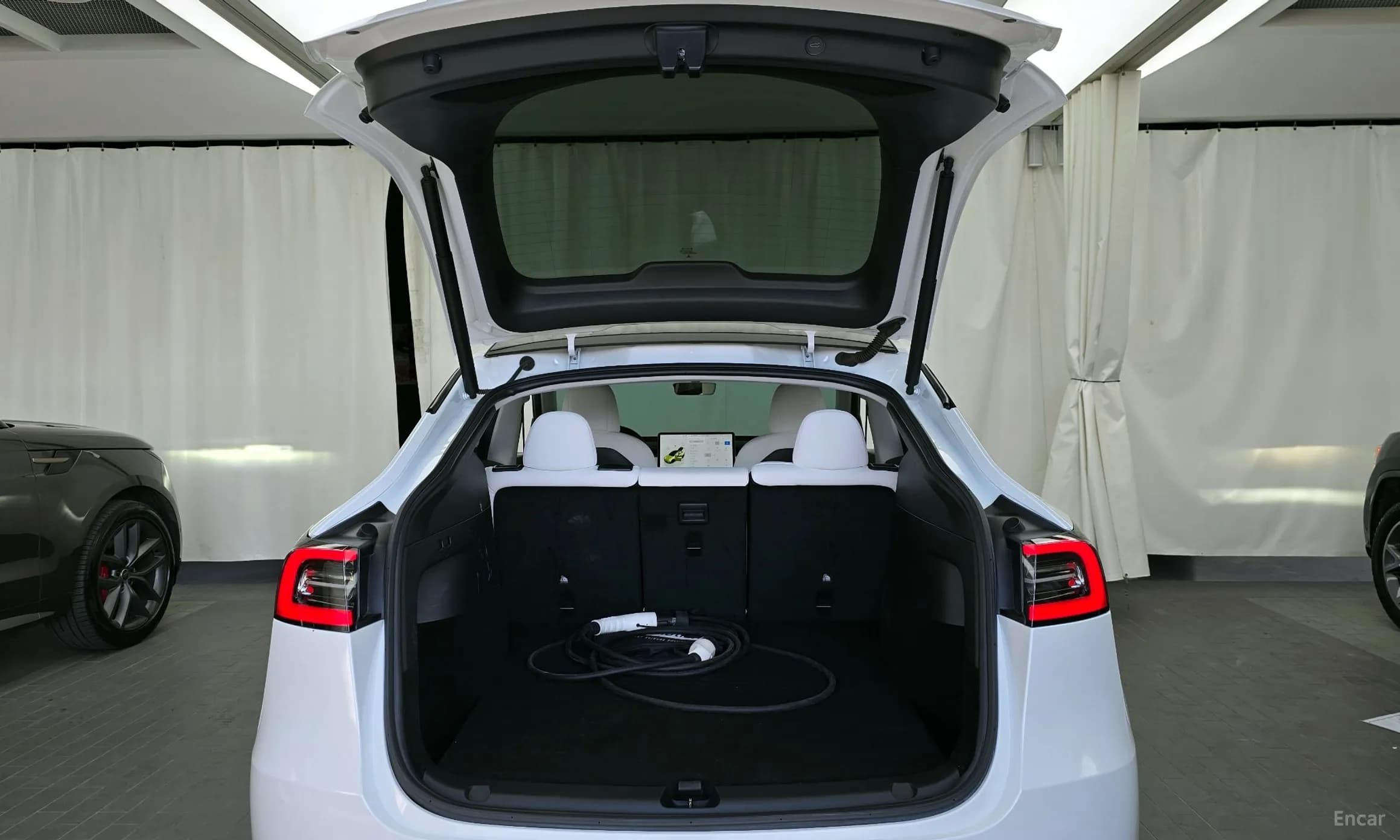 Model Y