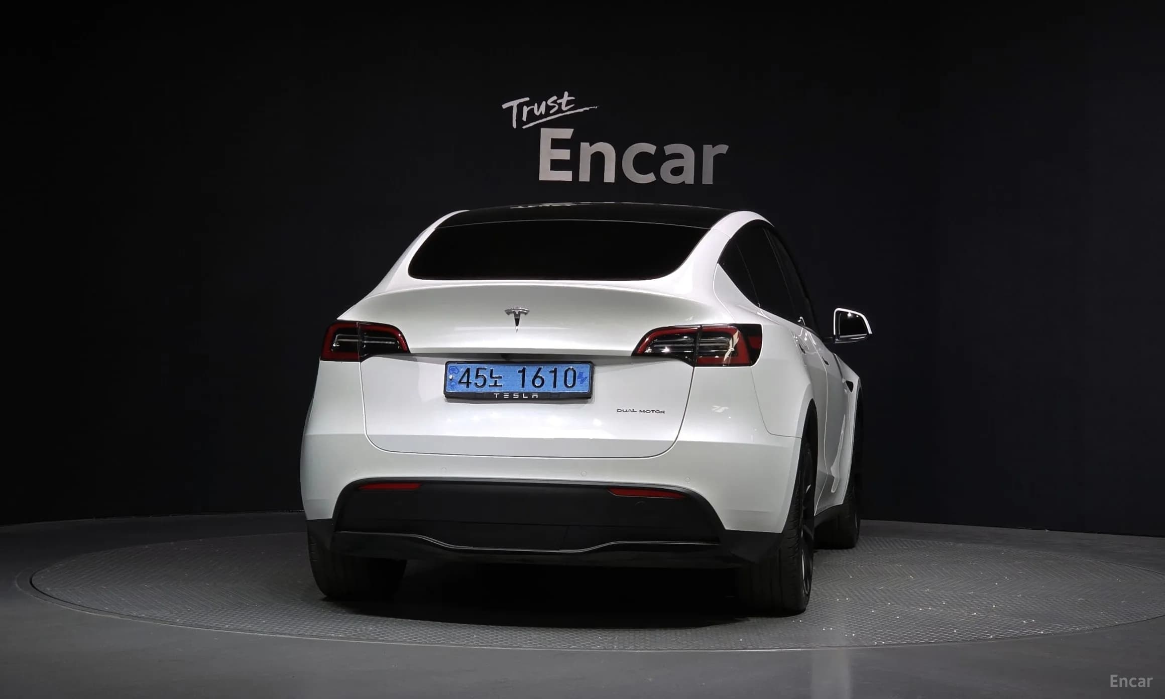 Model Y